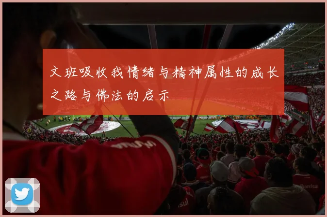 文班吸收我情绪与精神属性的成长之路与佛法的启示
